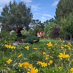B&B 