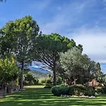B&B 