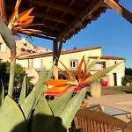 B&B 