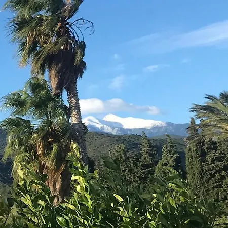 Mas Tramontane D'hôtes, Studio, Ancien Mas Agricole Dans Parc Arboré, Piscine Et Sa Vue Face Au Canigou Bed and breakfast