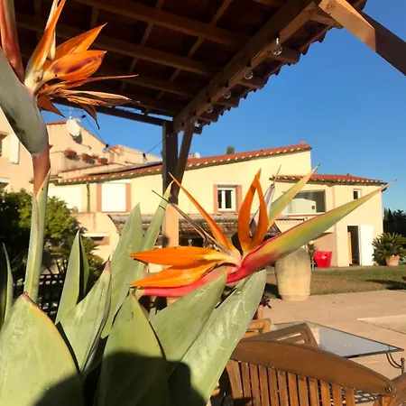 Bed and breakfast Mas Tramontane D'hôtes, Studio, Ancien Mas Agricole Dans Parc Arboré, Piscine Et Sa Vue Face Au Canigou