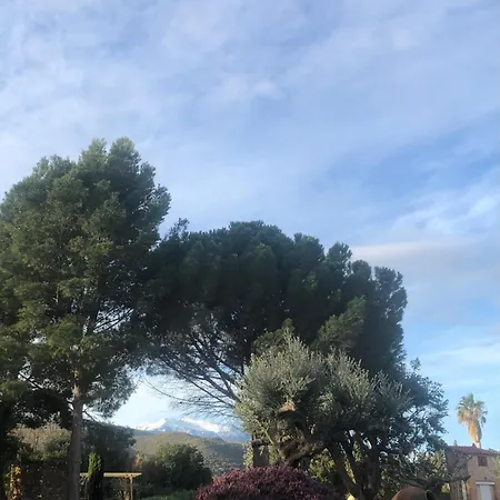 Mas Tramontane D'hôtes Et Avec Piscine Dans Parc Arboré Ille-sur-Têt