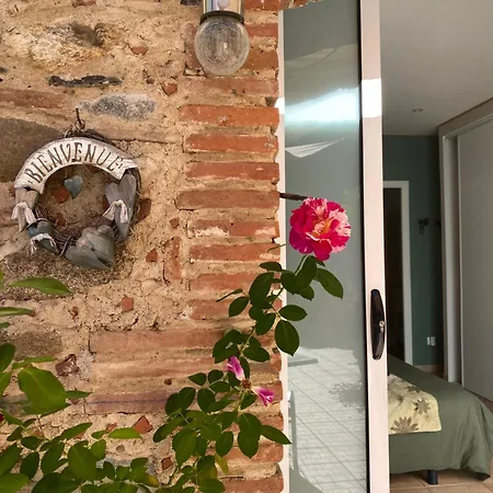 Mas Tramontane D'hôtes, Studio, Ancien Mas Agricole Dans Parc Arboré, Piscine Et Sa Vue Face Au Canigou
