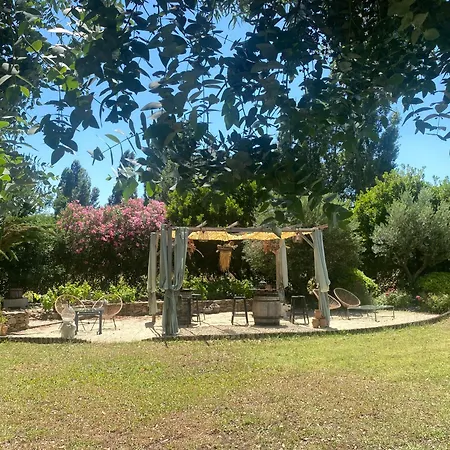 Mas Tramontane D'hôtes, Studio, Ancien Mas Agricole Dans Parc Arboré, Piscine Et Sa Vue Face Au Canigou