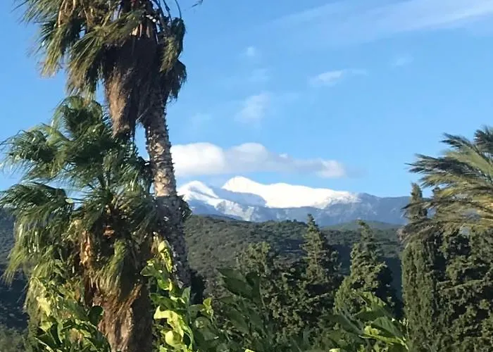 Mas Tramontane Ancien Mas Agricole Avec D'hôtes, Studio, Parc Arboré, Piscine Et Sa Vue Face Au Canigou Bed and breakfast