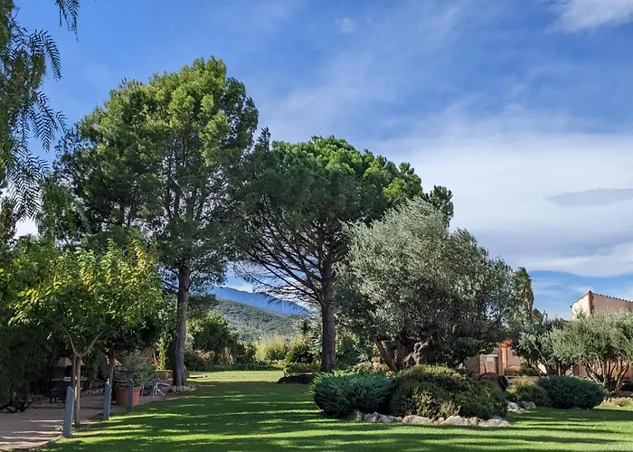 Bed & Breakfast Mas Tramontane Ancien Mas Agricole Avec D'hôtes, Studio, Parc Arboré, Piscine Et Sa Vue Face Au Canigou