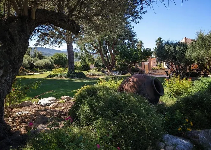 Mas Tramontane Ancien Mas Agricole Avec D'hôtes, Studio, Parc Arboré, Piscine Et Sa Vue Face Au Canigou Bed & Breakfast 3*