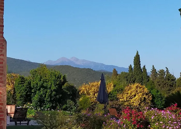 Bed & Breakfast Mas Tramontane Ancien Mas Agricole Avec D'hôtes, Studio, Parc Arboré, Piscine Et Sa Vue Face Au Canigou 3*