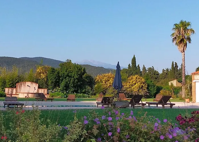 Mas Tramontane Ancien Mas Agricole Avec D'hôtes, Studio, Parc Arboré, Piscine Et Sa Vue Face Au Canigou Bed & Breakfast