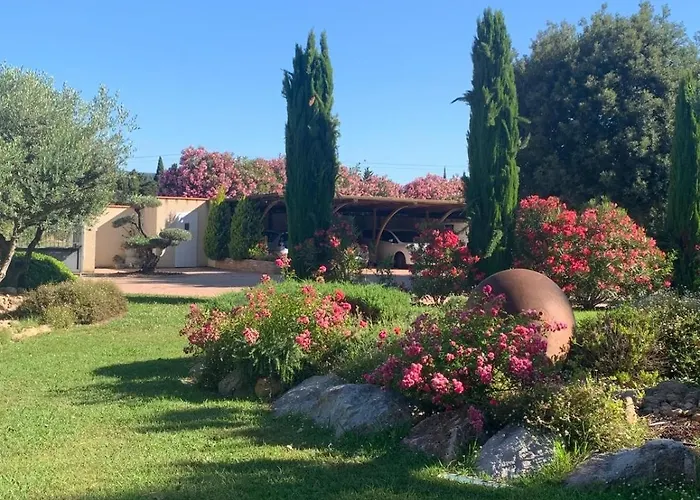 Mas Tramontane Ancien Mas Agricole Avec D'hôtes, Studio, Parc Arboré, Piscine Et Sa Vue Face Au Canigou Couette-café 4*