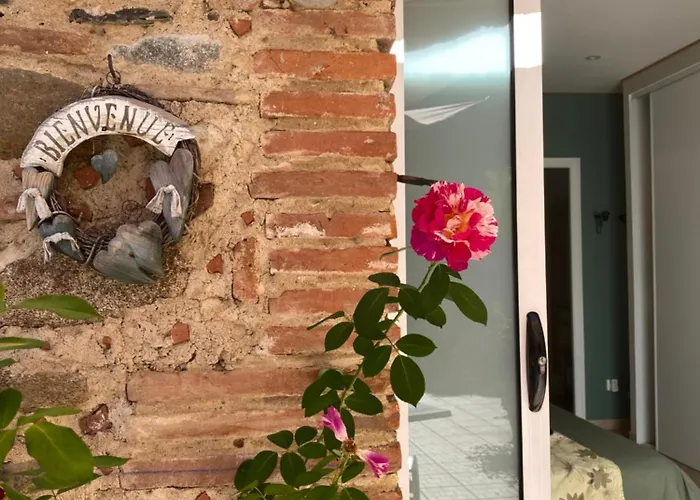 Mas Tramontane Ancien Mas Agricole Avec D'hôtes, Studio, Parc Arboré, Piscine Et Sa Vue Face Au Canigou
