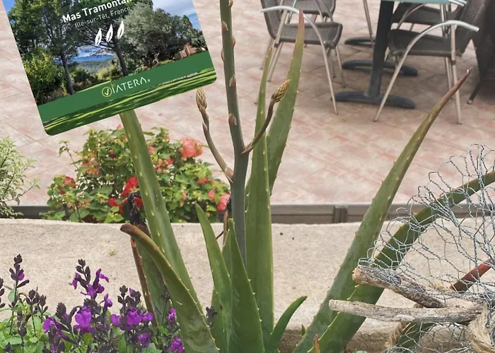 Mas Tramontane Ancien Mas Agricole Avec D'hôtes, Studio, Parc Arboré, Piscine Et Sa Vue Face Au Canigou