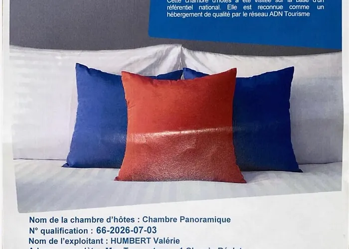 Mas Tramontane Ancien Mas Agricole Avec D'hôtes, Studio, Parc Arboré, Piscine Et Sa Vue Face Au Canigou 3* Ille-sur-Têt